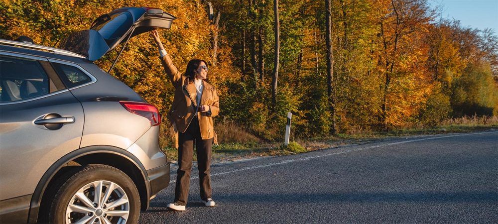 Auto Insurance – Fall New Banner Auto Insurance