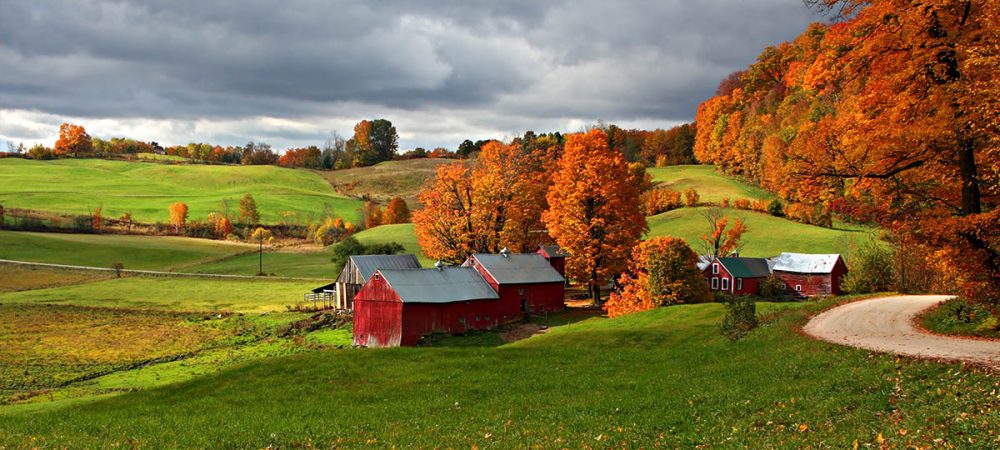 Farm Insurance