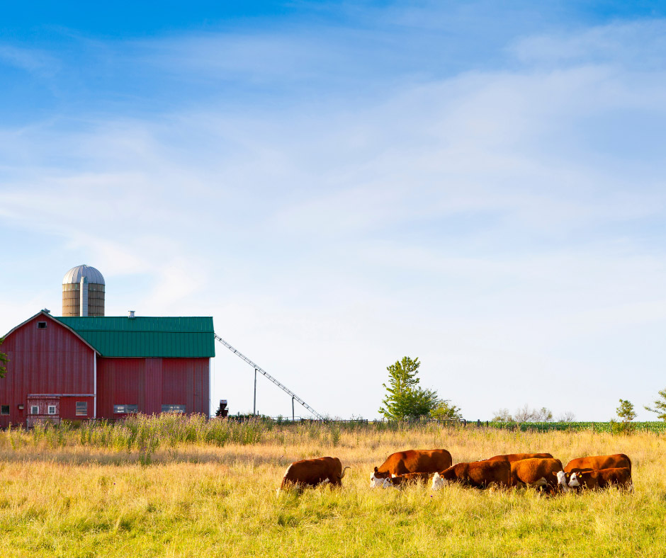 Summer on the Farm: Insurance That Grows with the Heat
